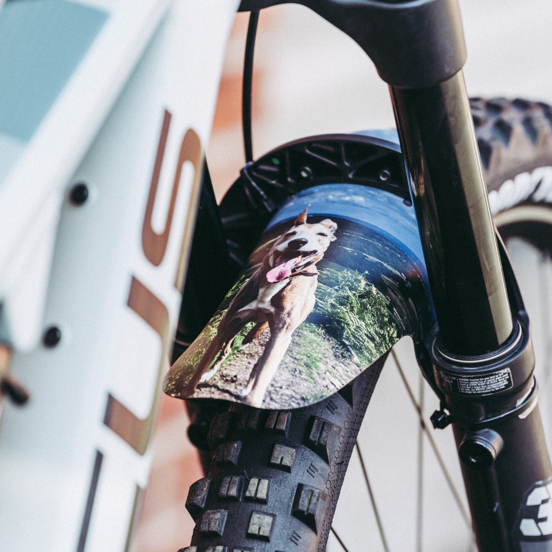 Design Your Own Mountain Bike Mudguards