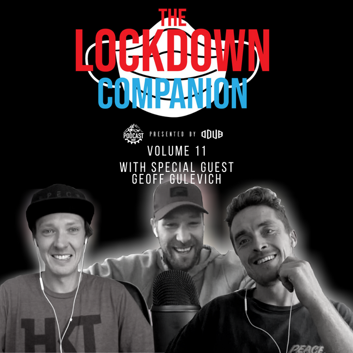 THE LOCKDOWN COMPANION VOL11