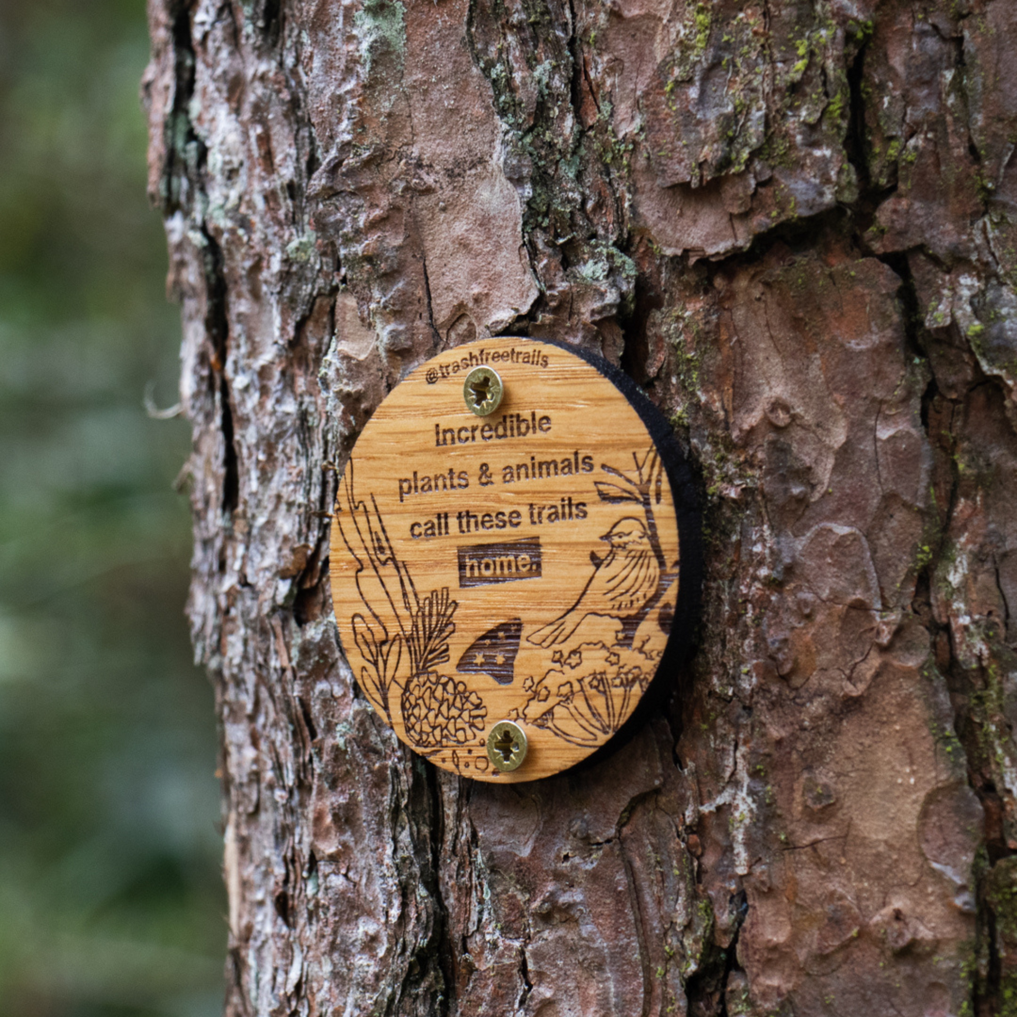 Wooden plaque on a tree with nature-themed design and text.