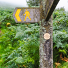 Trash Free Trails Waymarker