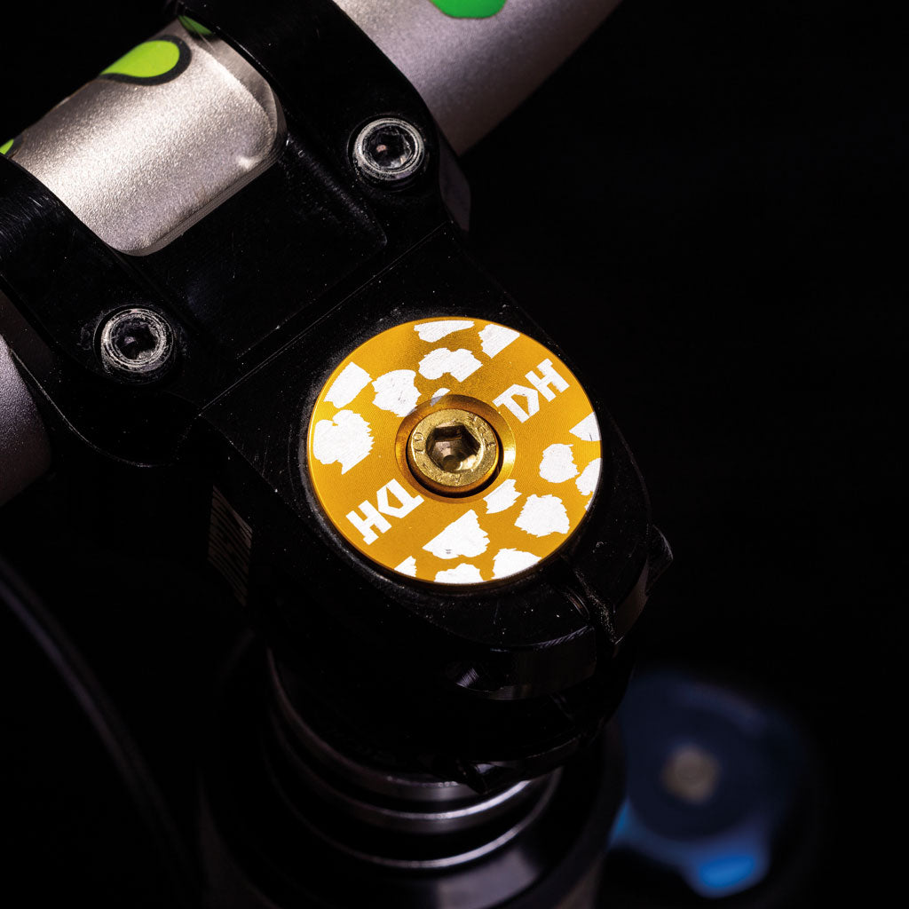 Wild Style Gold Stripe Stem Cap with gold bolt.